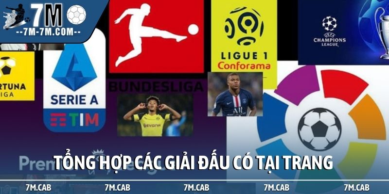 Tổng hợp các giải đấu có tại trang